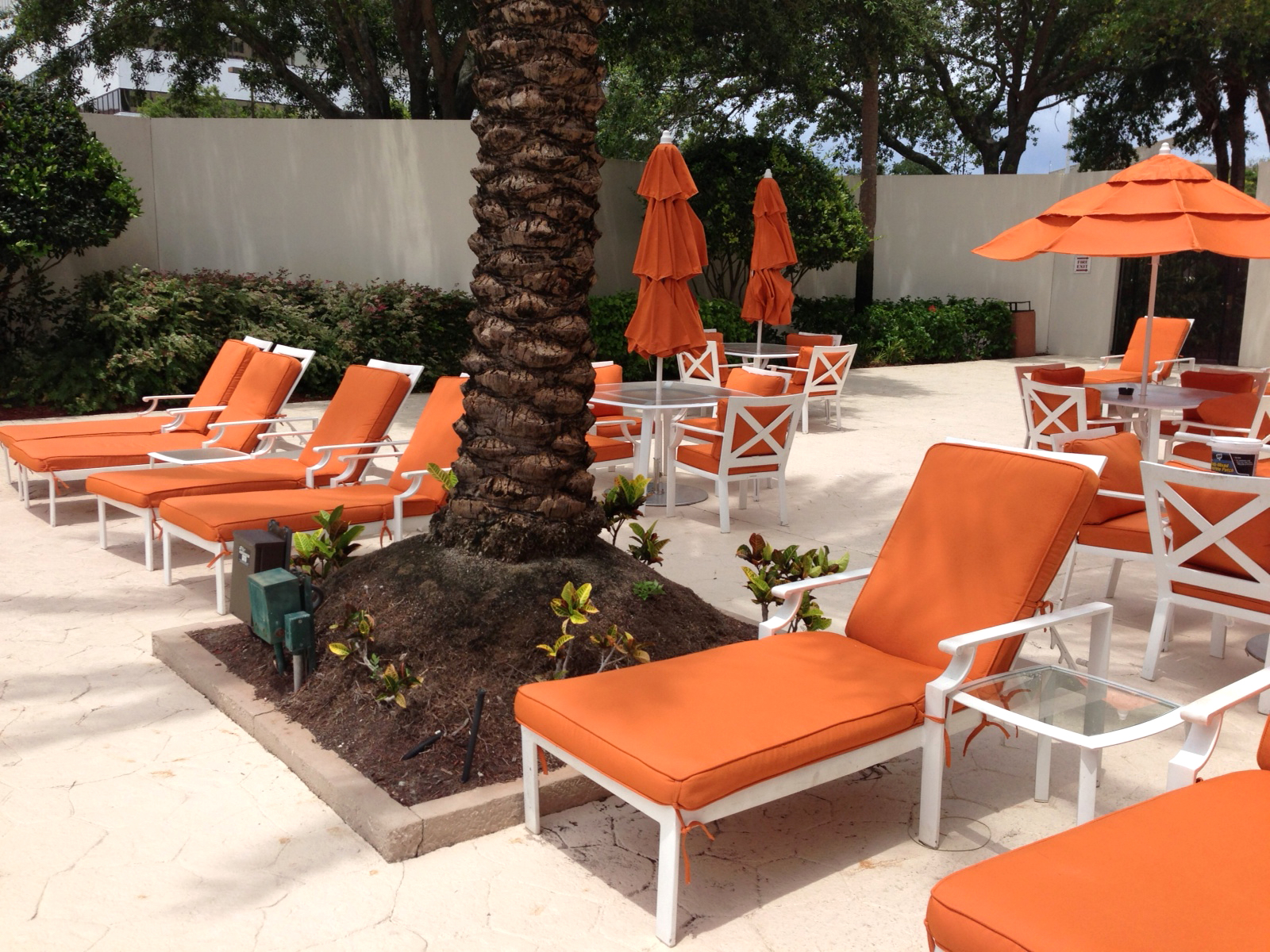 Hilton Bay Front St Pete Sunbrite Outdoor Furniture